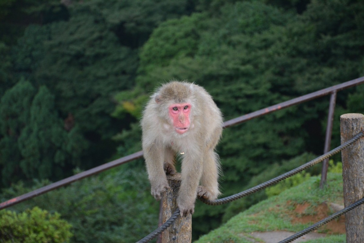 How can you forget that…?