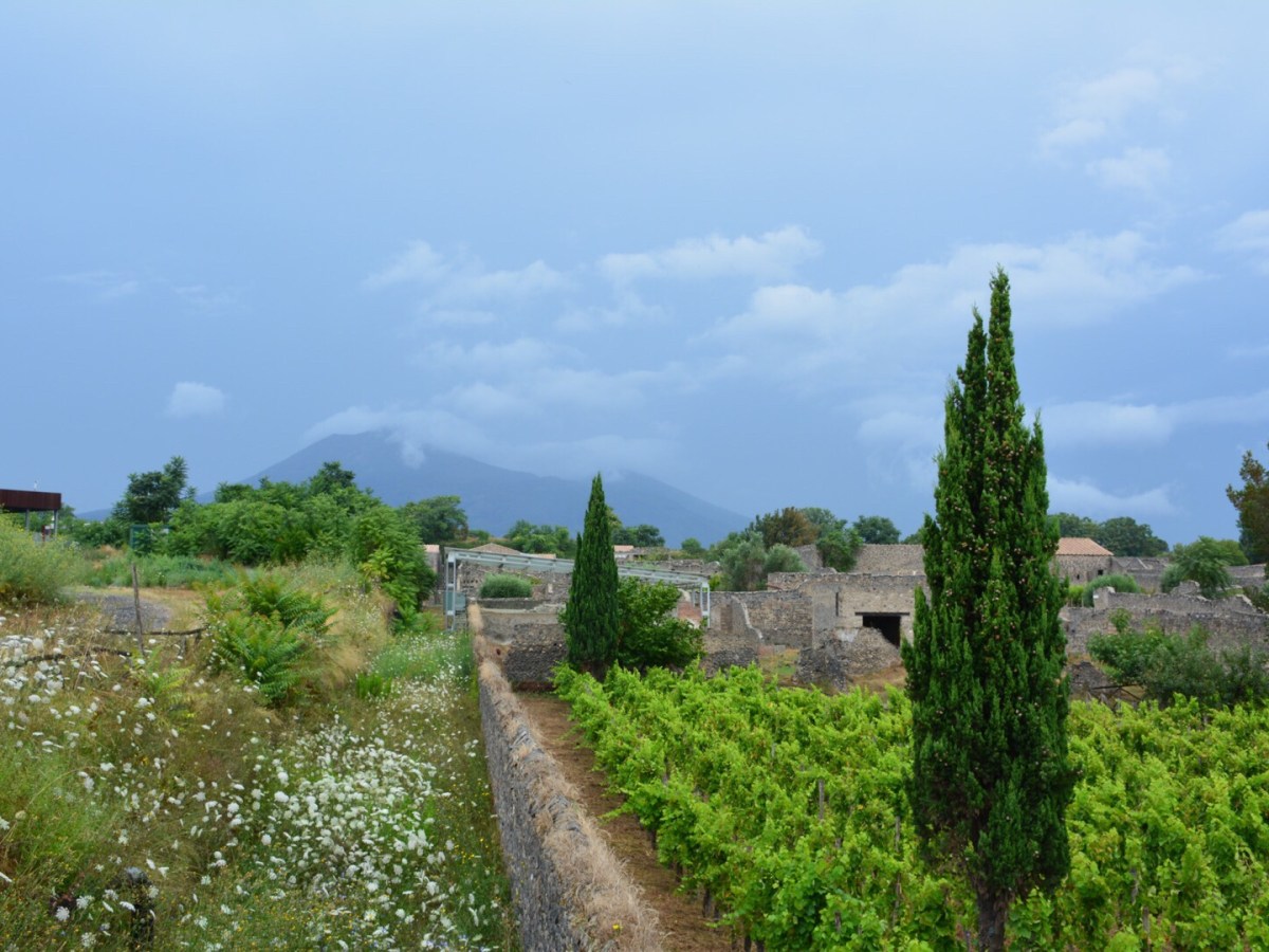 Want some information and a free map?