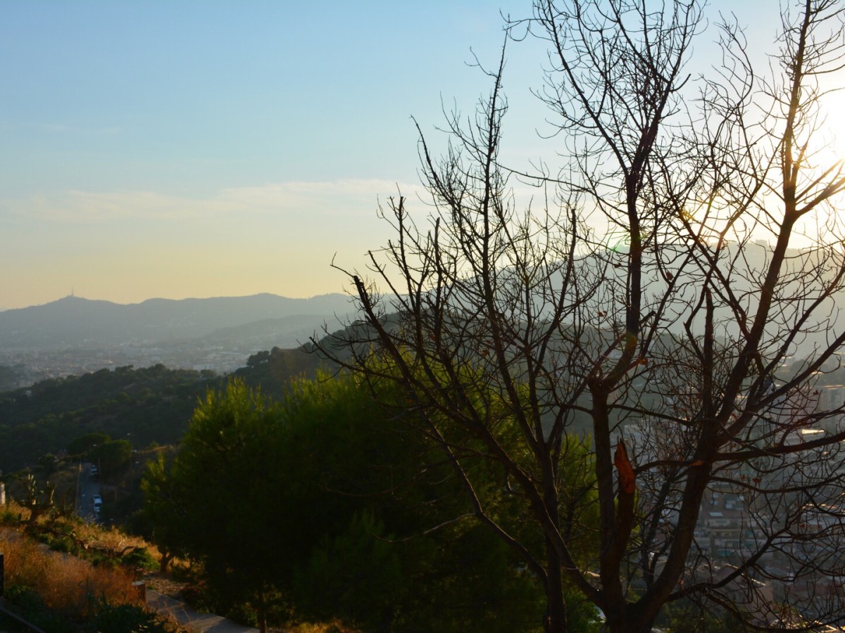 I think Gaudí doesn’t like me…