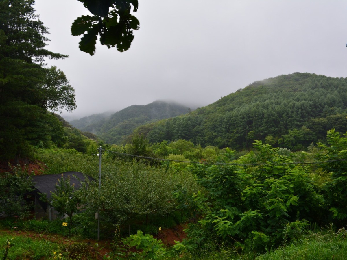 Wow, look at that amazing waterfall!